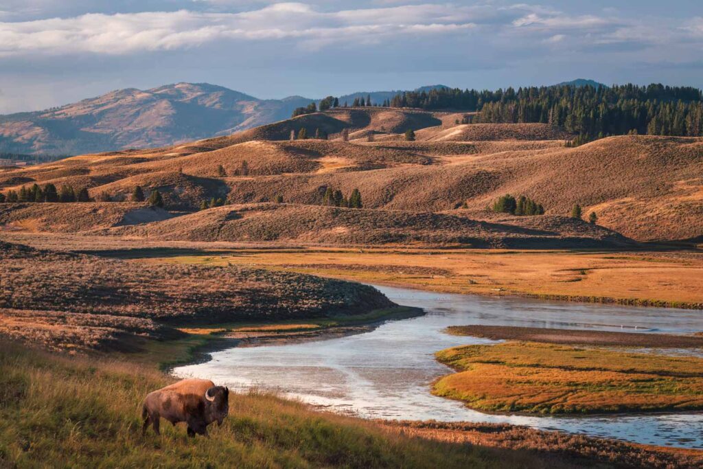 26 Best National Parks to Visit in the US (Our Favourites After 15 Years of Travel) 116 26 Best National Parks to Visit in the US (Our Favourites After 15 Years of Travel)